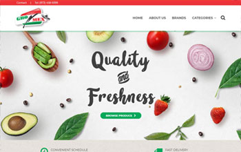 GROMEX Inc website screenshot